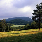 Branišovský vrch z údolí Úterského potoka