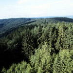 Branišovský vrch z Třebouškého vrchu