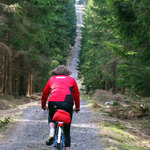 Cesta v Dyleňském lese