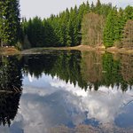 Slatina - lesní rybník