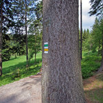 Turistická cesta k nádraží